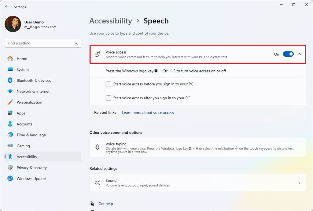 Windows 11 Voice Access