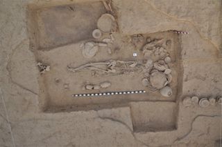 a photograph of an ancient skeleton buried in Rakigarhi in India