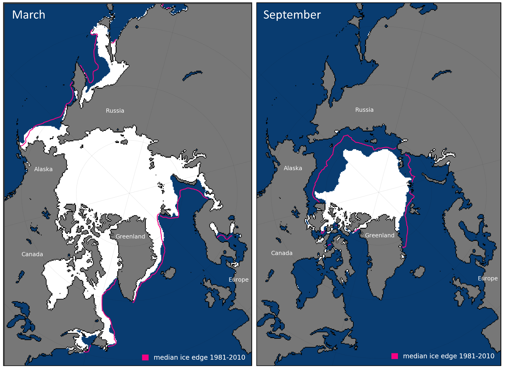 The Arctic Ice Is Dying | Live Science