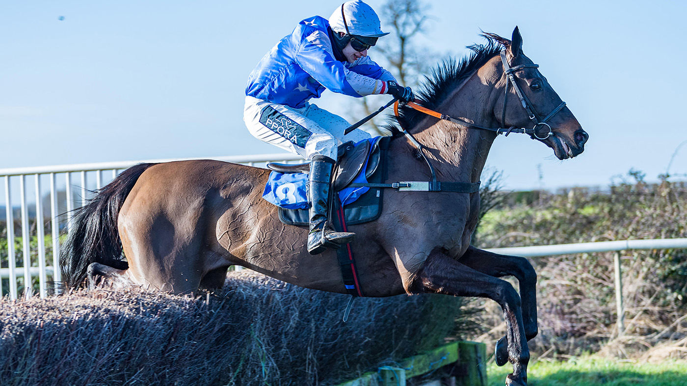Sir Mangan - Ben Sutton Winners of the JOCKEY CLUB &amp;amp; RETRAINING OF RACEHORSES VETERAN HORSE CONDITIONS 9YO&amp;amp;UP DUNSTON HARRIER Point to Point steeplechasesAT AMPTON, SUFFOLK