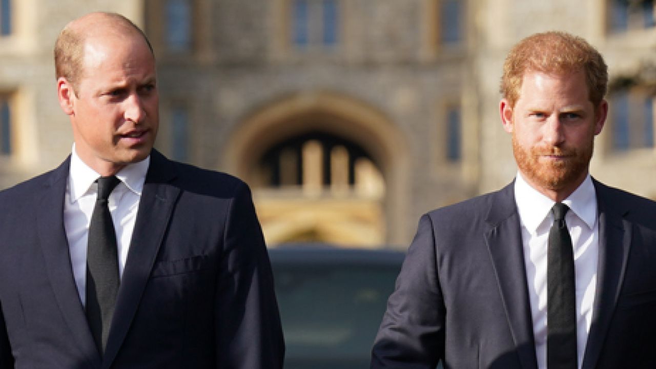 Prince William and Prince Harry