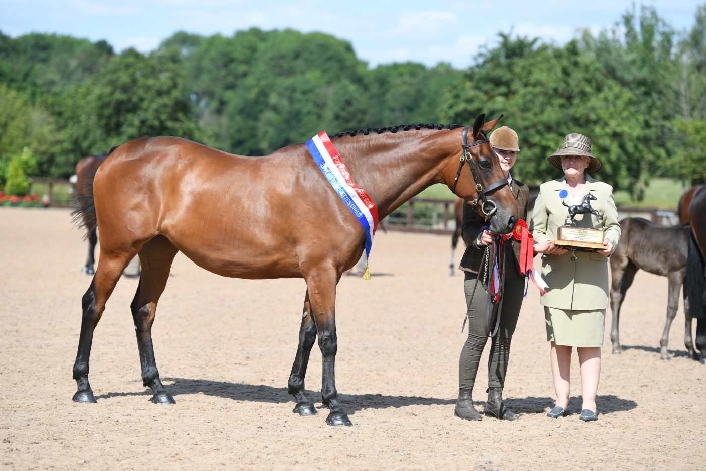 HorseNo179_HunterShow_PN19_36025-e1562587604485.jpg