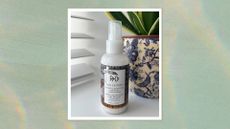 Image of the R+Co Sun Catcher Vitamin C Leave In Conditioner in a clear bottle with a grey and orange label, stood in front of a plant in a blue paisley pot, on a green watercolour background