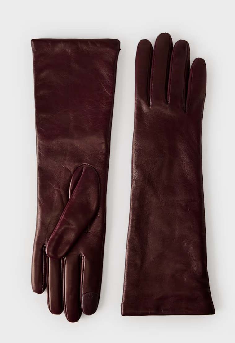 Aritzia, Leather Long Gloves