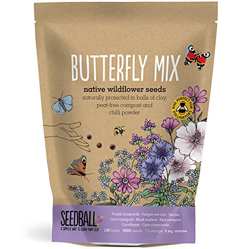 Seedball Butterfly Friendly Seed Bombs, 100 Wildflower Balls Per Pack