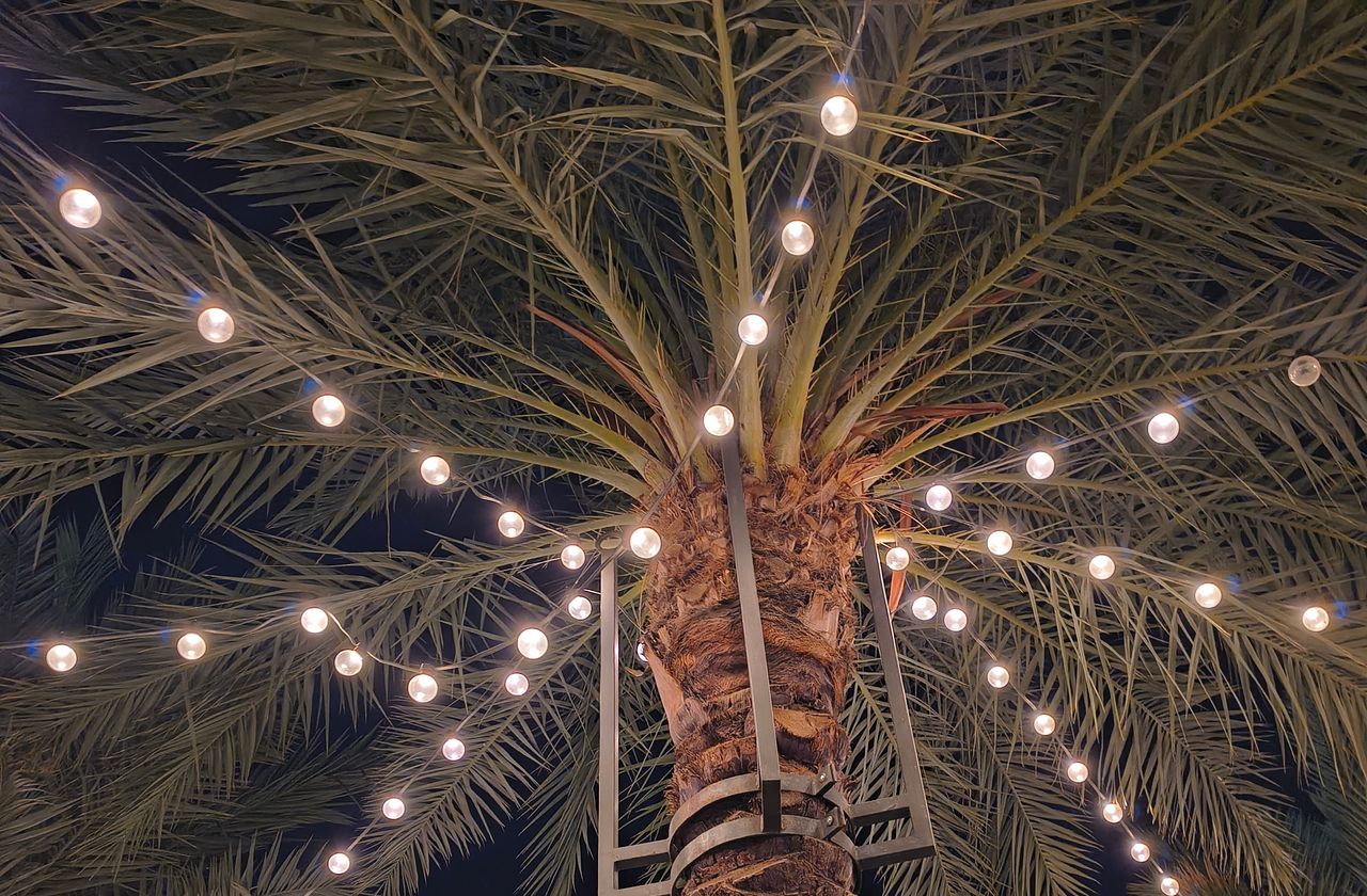Photos captured with the Motorola Razr 2025.