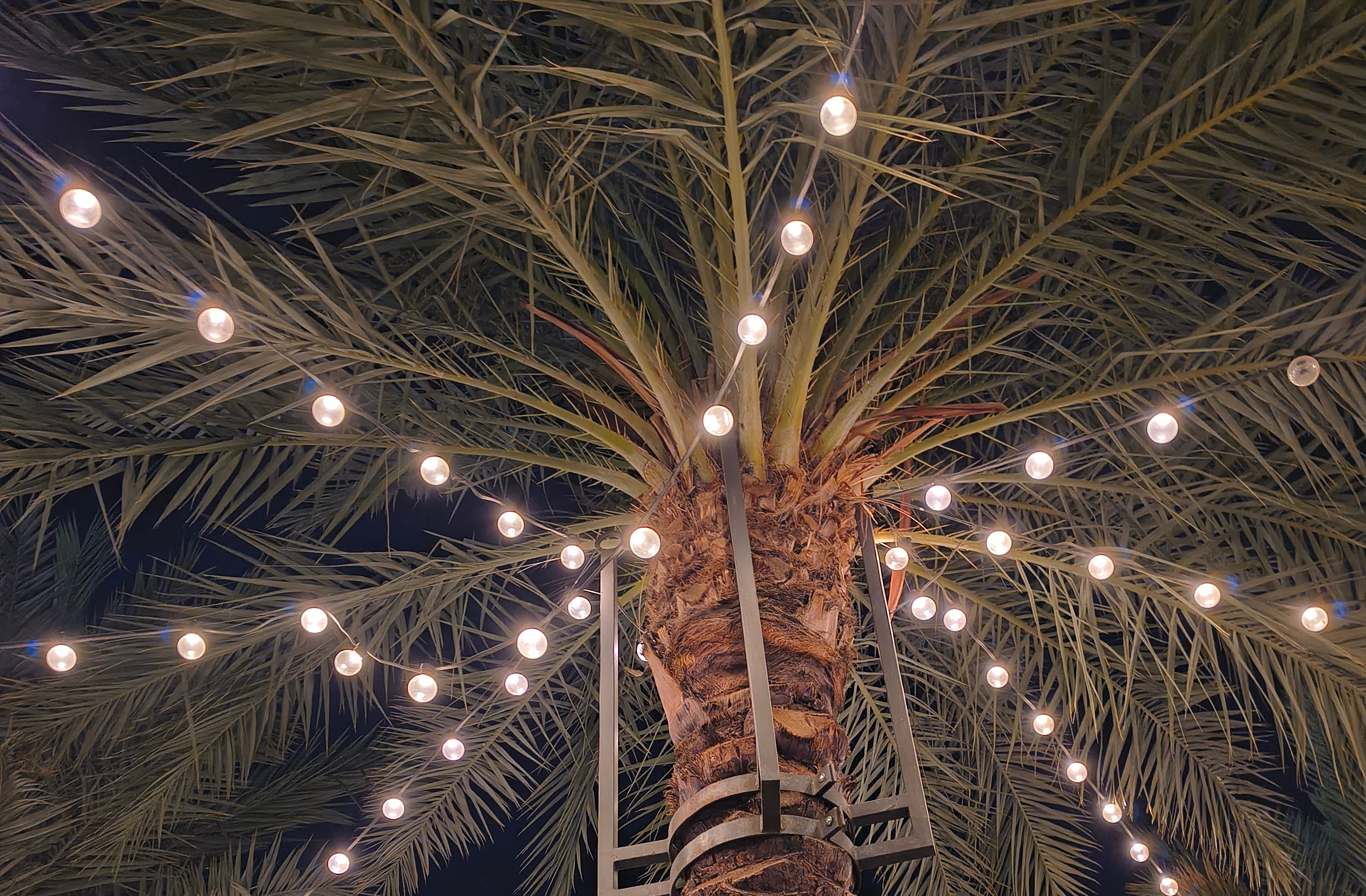 Photos captured with the Motorola Razr 2025.