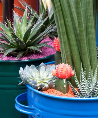 colorful gravel mulch in containers at Chelsea 2021 by John McPherson