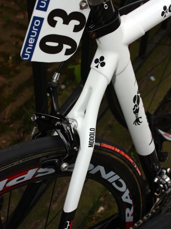 Slender seat stays are used on the rear end of Sacha Modolo's (Colnago-CSF Inox) custom painted Colnago C59.