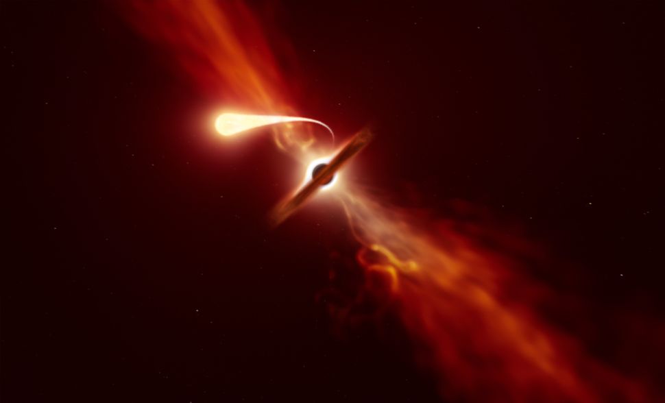 Black hole kills star by 'spaghettification' as telescopes watch