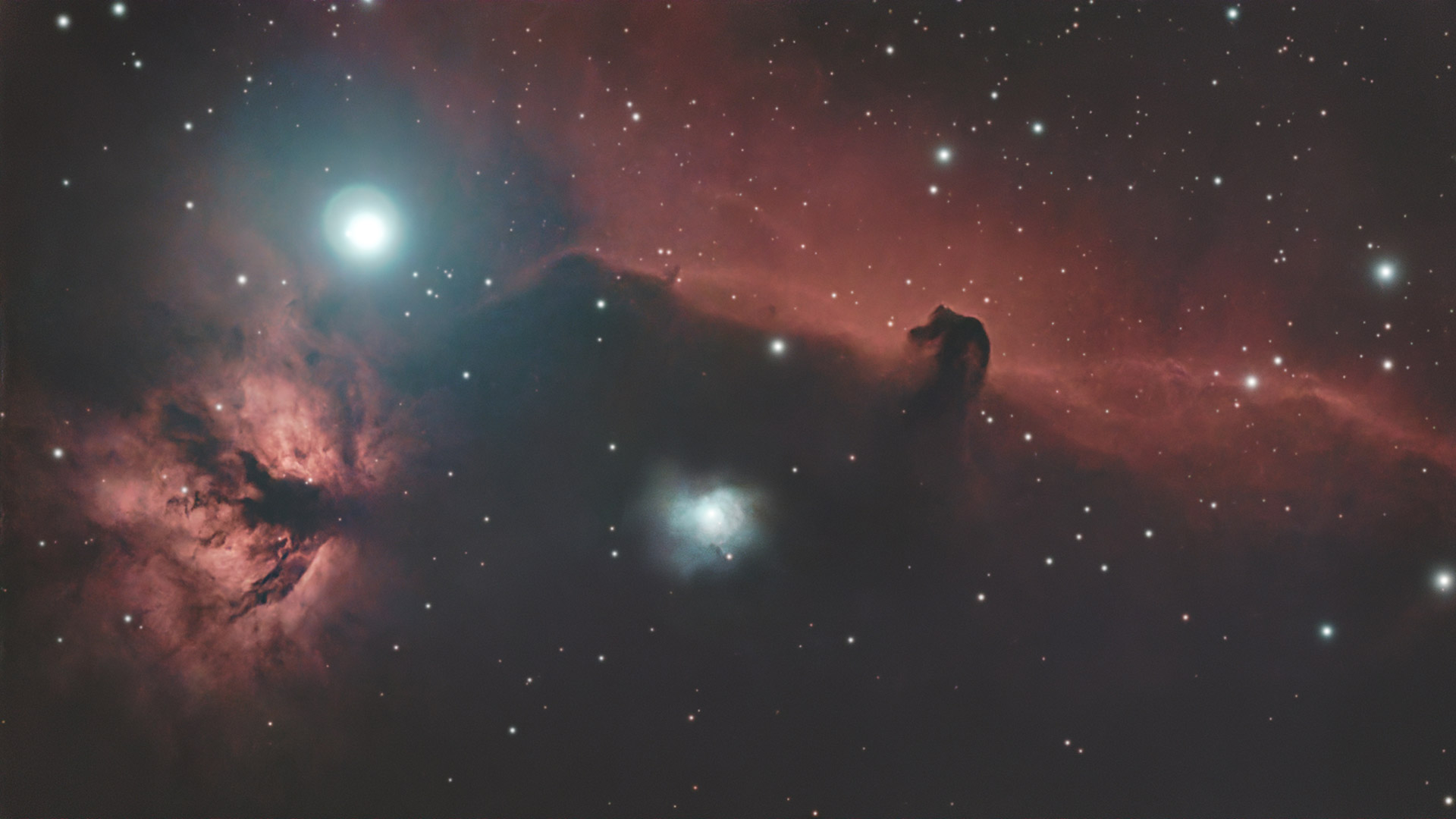 The Horsehead nebula photographed with the ZWO Seestar S50 smart telescope and processed in Pixinsight