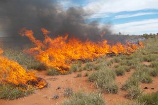 This photo of burning desert grass (Triodia) was taken in 2015.