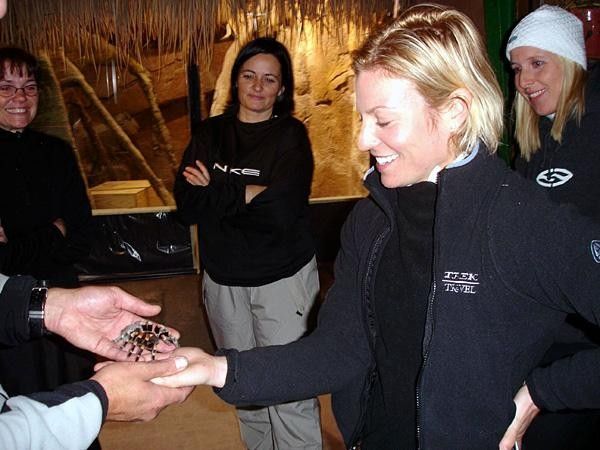 Leah Vandevelde holding the bird spider