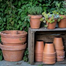 Flower pots tidied away for winter