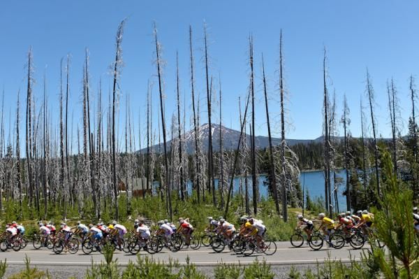 Riders head along a burnt out lake area