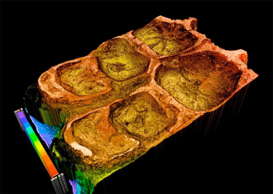Laser surface scan and topography of the chewing (grinding) surface of a duck-billed dinosaur (Corythosaurus).