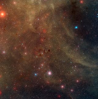 Star-Forming Region Around the Herbig-Haro Object HH 46/47