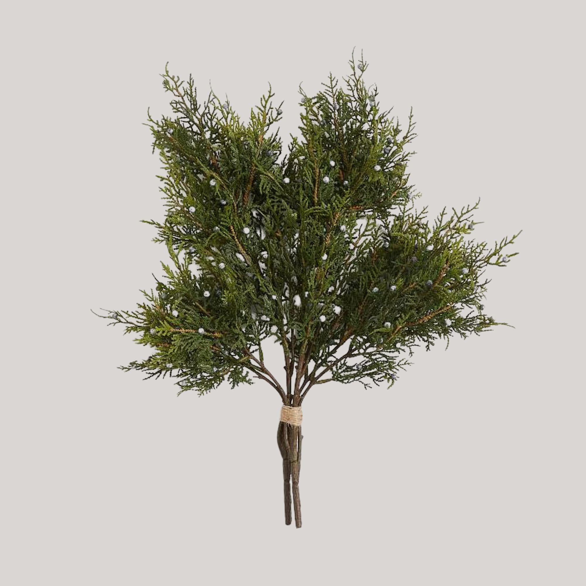 West Elm, Faux Juniper Bundle