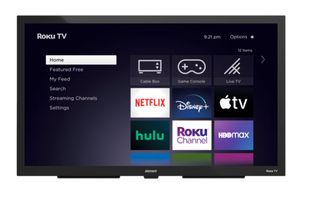 Element 55-inch outdoor TV powered by Roku