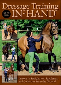 Dressage in-hand