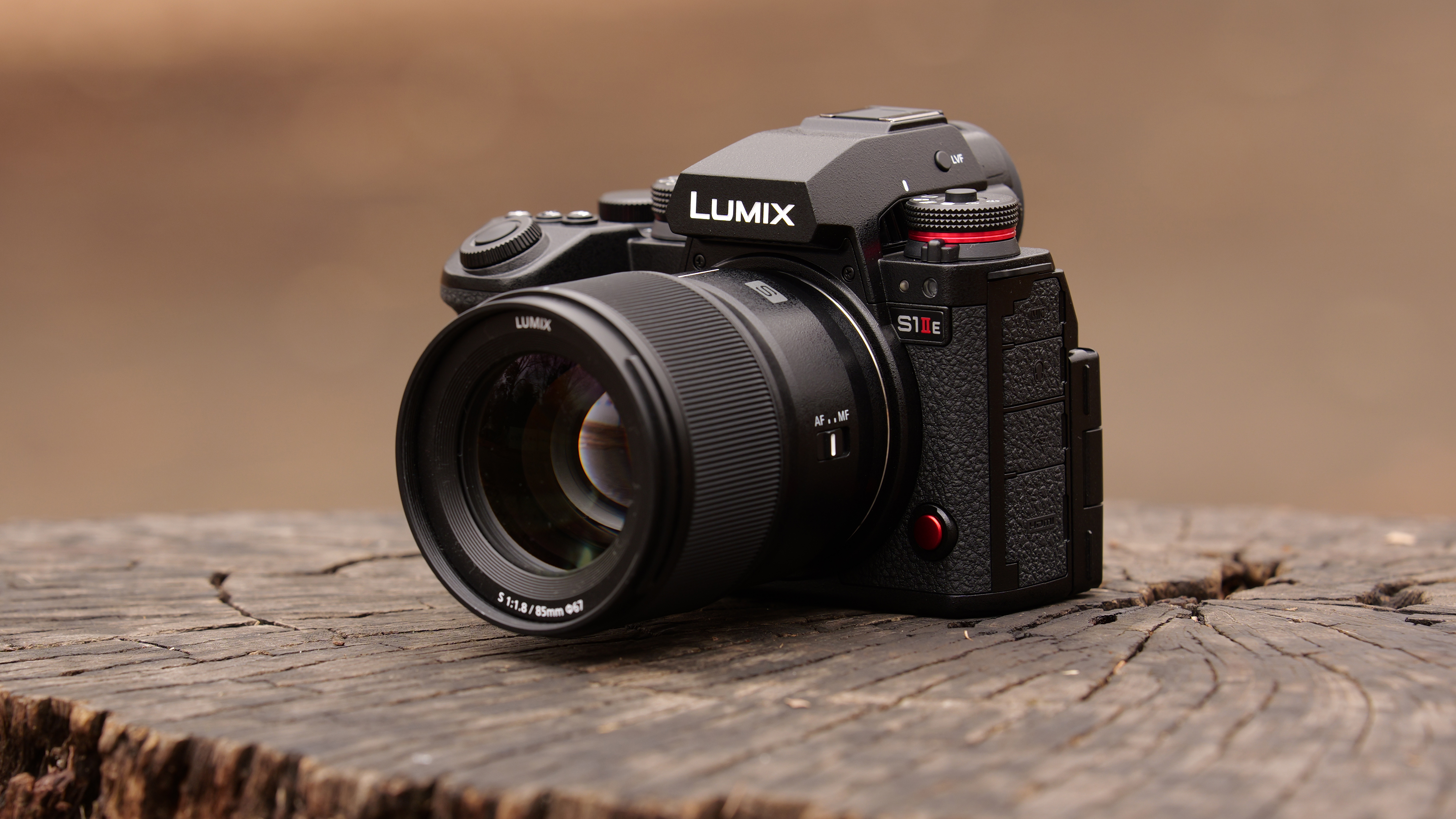 Panasonic Lumix S5IIE camera sitting on a tree stump
