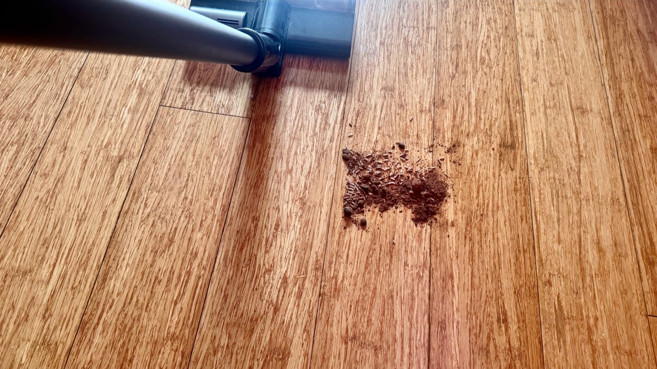 Debris spill being cleaned from a hard floor