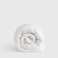 Ultra-Warm Premium Down Alternative Comforter | Was $299, now $149 at Quince