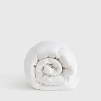 Ultra-Warm Premium Down Alternative Comforter | Was $299, now $149 at Quince