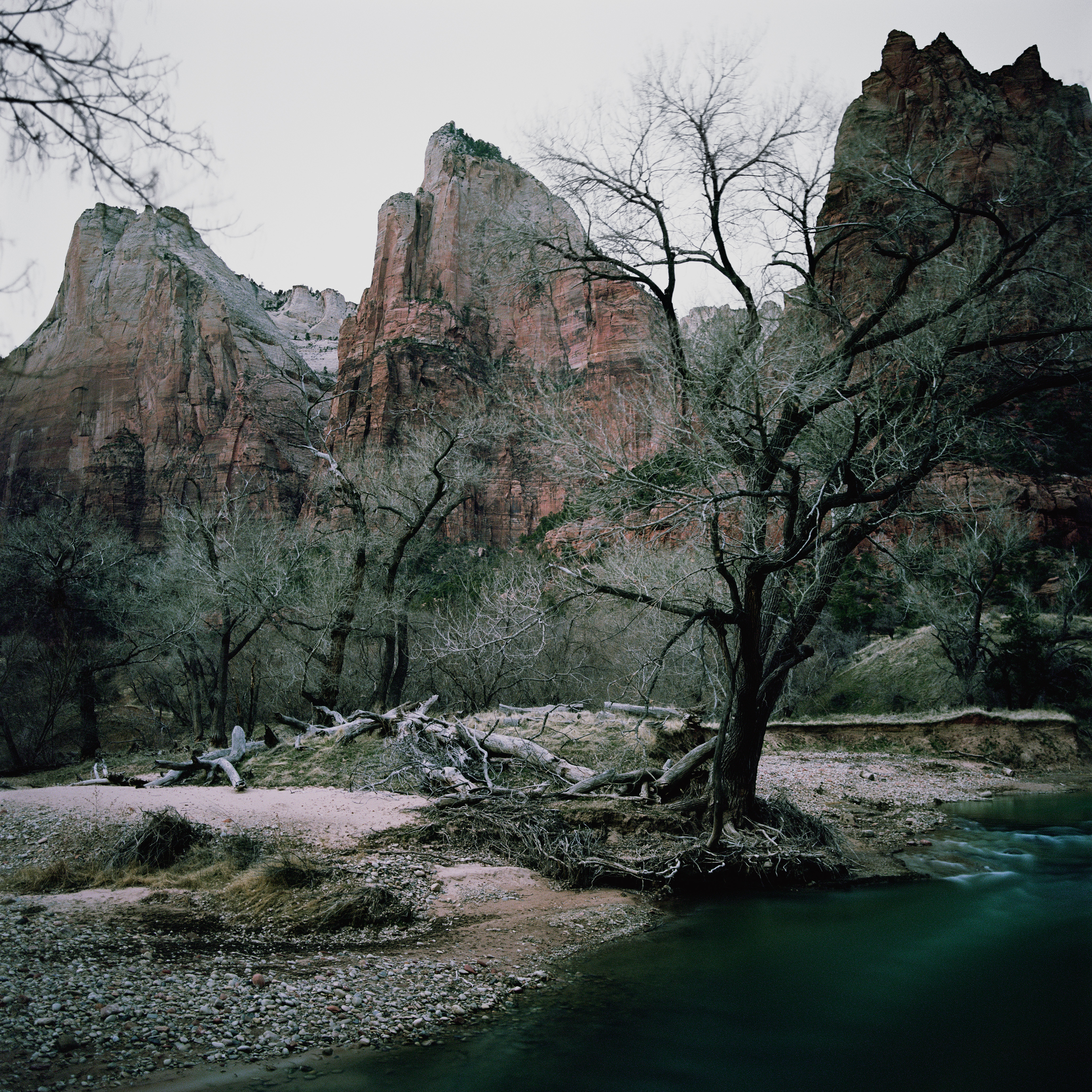 A landscape photograph showing bare winter trees and a flowing river in a valley set against towering, reddish-brown canyon walls.