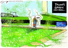 Political Cartoon
