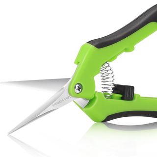 green pruning scissors
