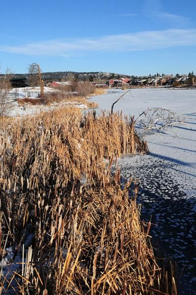 Bend, Oregon is pretty but quite frozen right now.