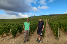 Julien and Arnaud Moreux, Pouilly-Fumé