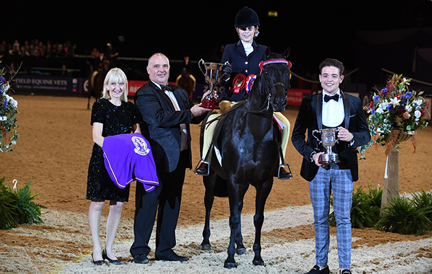 ARCHWOOD ROMEO GIGLE owned by Leah Dalley ridden or exhibited by Madison Dalley in the Children's Riding Pony of The Year Championship during the Horse of the Year Show at the NEC near Birmingham, UK between 4th - 8th October 2017