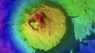 A sonar image taken from Falkor (too) shows the newly discovered seamount.