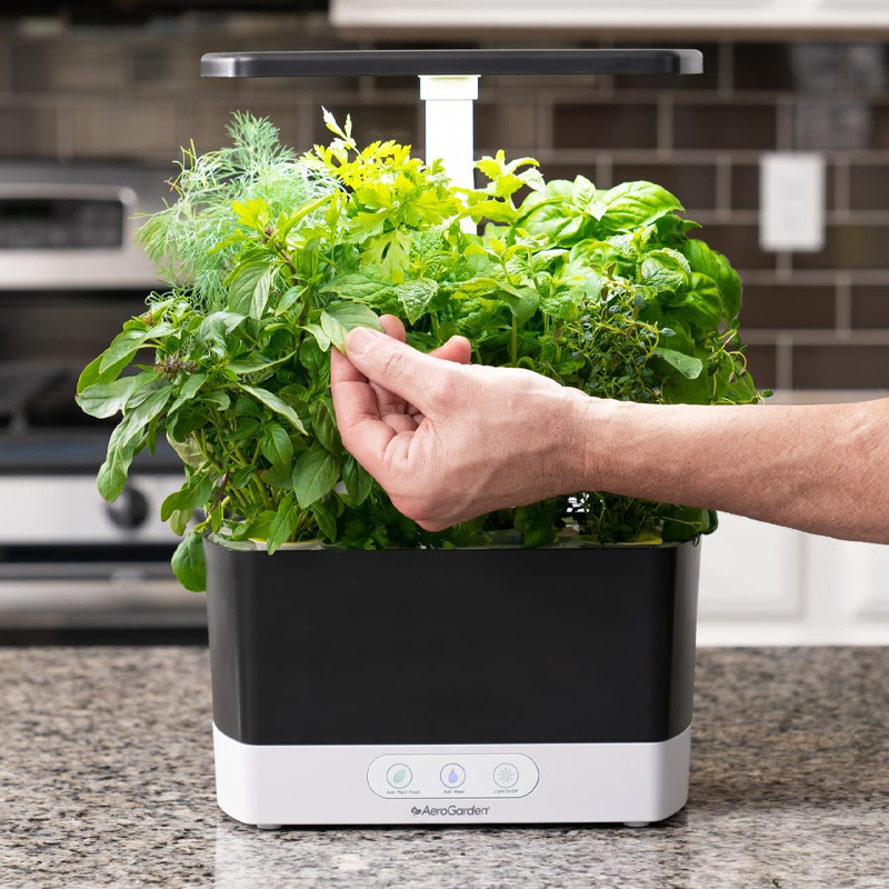 best 40th birthday gifts for her include aerogarden harvest indoor planter