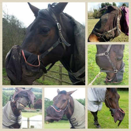“This is my 10-year-old 18.3hh heavyweight show hunter Hotspurs Last Rolo. He loves nothing more than making his own fashion statements — I just never know what I am going to find when I get to the yard. He has developed a taste for bandages and over reach boots too which are regularly found shredded!” — Katie Hudson