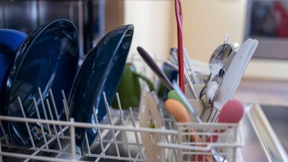 Lubricate dishwasher online rack