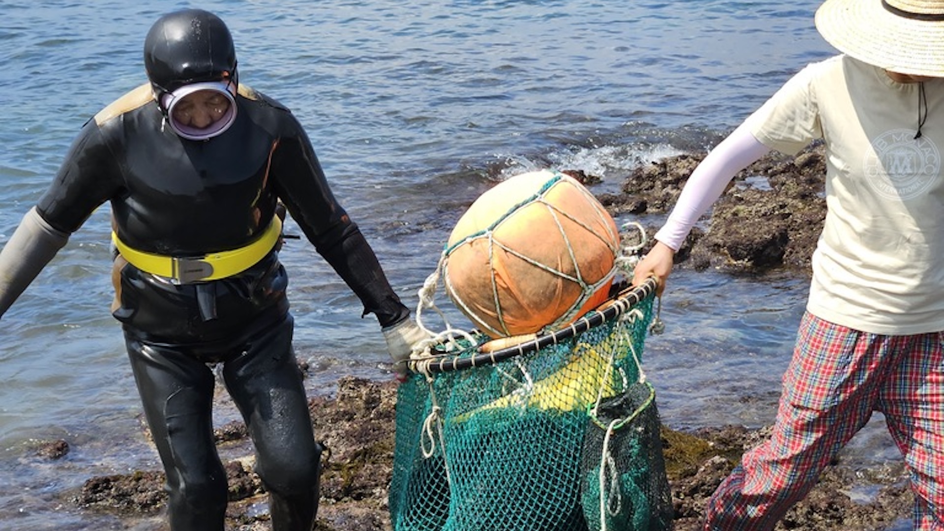 two women, one in diving gear, haul a bag of seafood on shore