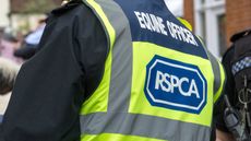RSPCA-alamy-EPP3GW.jpeg