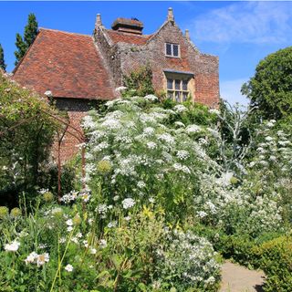 The white garden at Sissinghurst, Kent