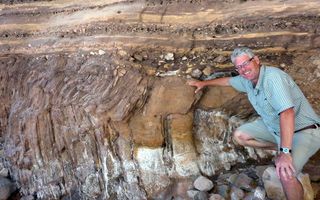 Researcher Brian Pratt found evidence of worm activity from 500 million years ago preserved in a fossil-rich site in British Columbia, Canada.