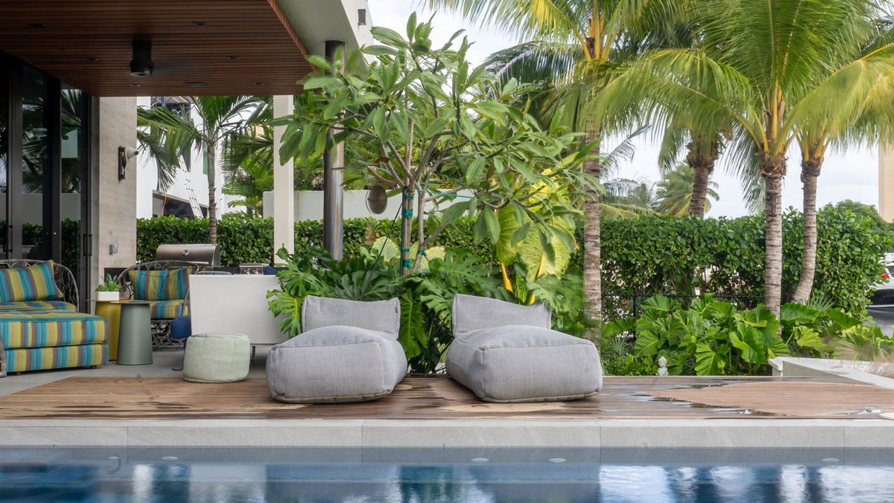 pool and palm trees