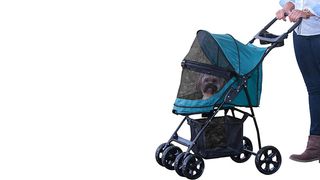 Pet stroller and carrier