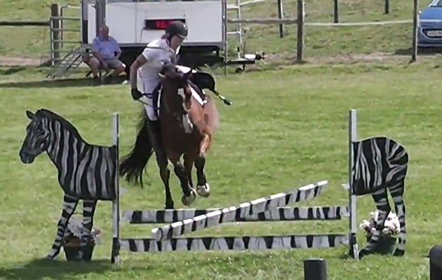 &ldquo;This is my then six-year-old Belgian warmblood Squirrel (Iline van de Smeets) in the British Novice at Pyecombe in August 2014. We&rsquo;d had a &ldquo;to me, to you&rdquo; moment as she locked on to the wrong fence, but eventually jumped the right one. Somehow (thanks to Squirrel&rsquo;s good nature) I stayed on and we jumped the last, to earn a &ldquo;well sat&rdquo; from the judge&rdquo; &mdash; Eleanor Jones