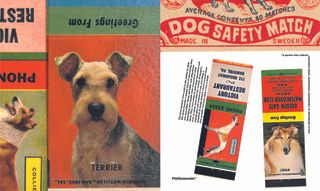 Dog safety match