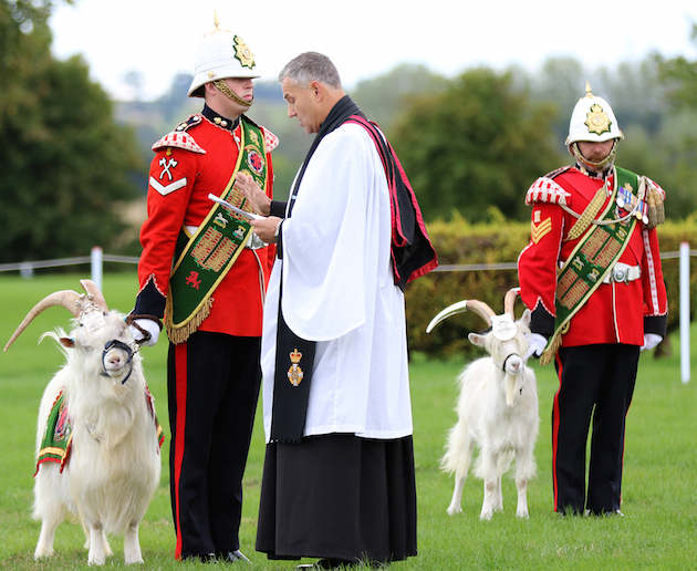 APOEMID-2018-056-DATR-Mascot-Parade-and-Blessings-051.jpg