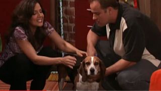 The dog in Wizards of Waverly Place.