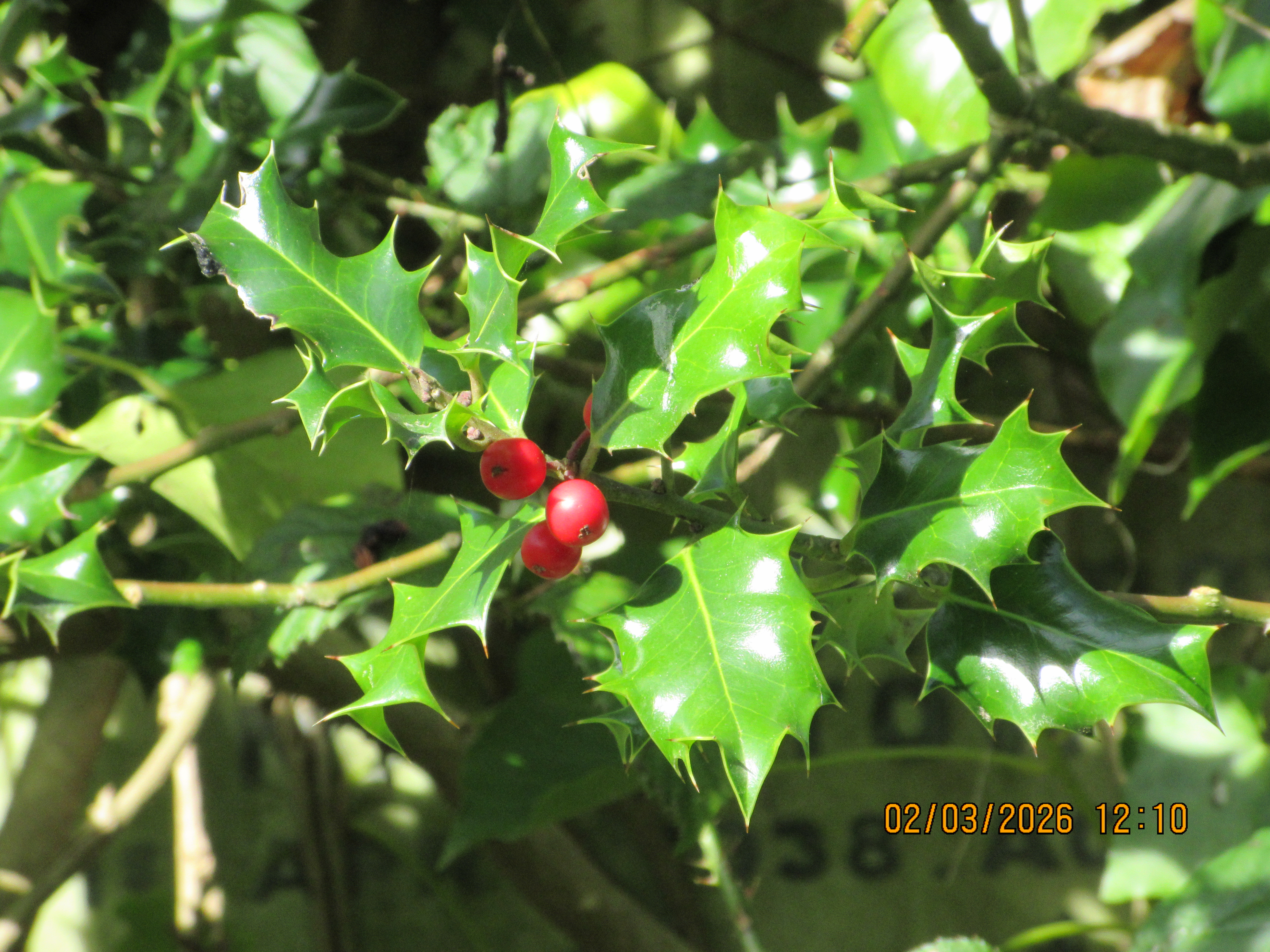 A photo taken on a Canon PowerShot Elph 360 HS A / IXUS 285 HS A compact camera