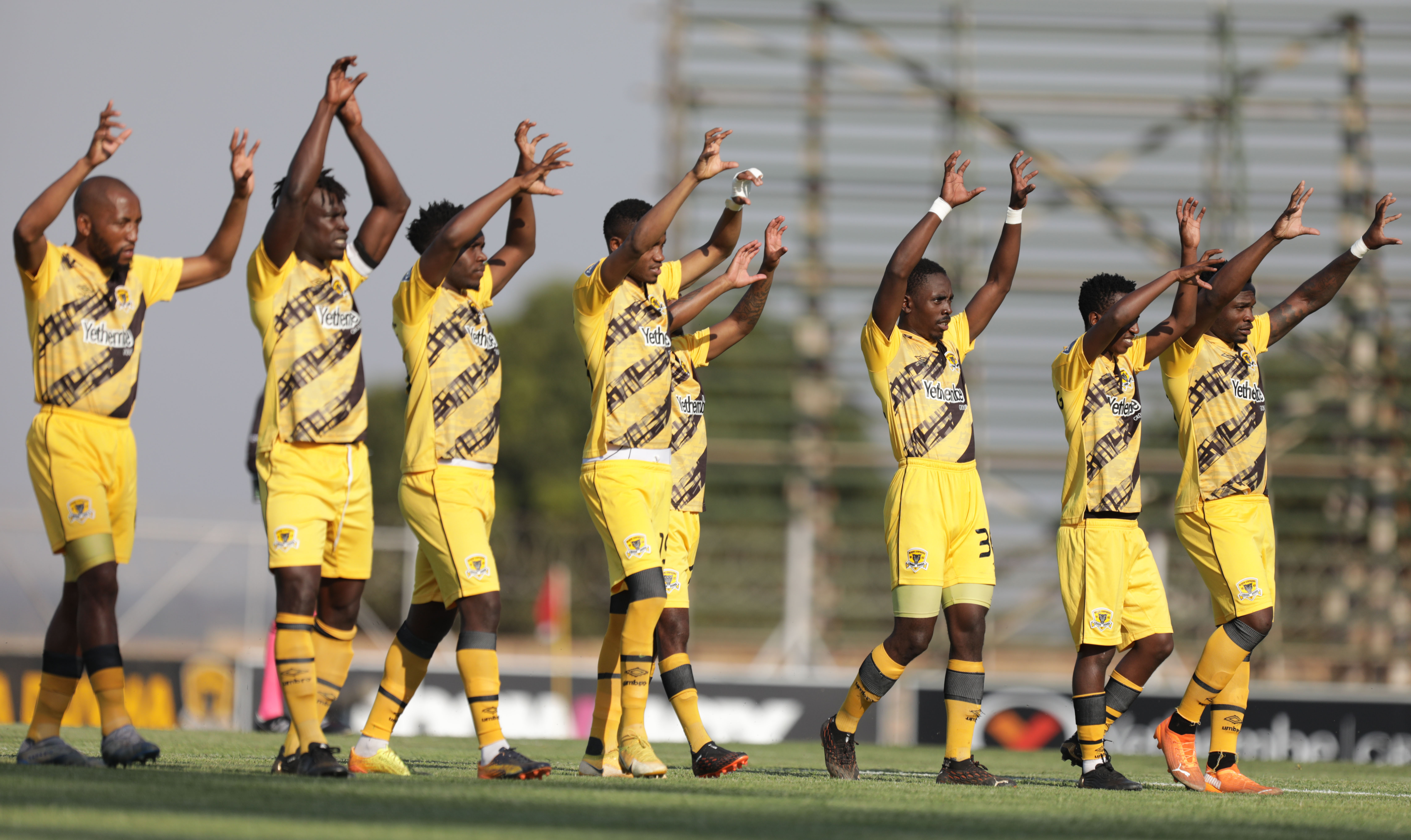 Black Leopards